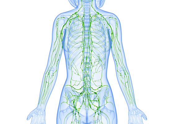 Vascular Surgeon in Madurai - Devadoss Hospital